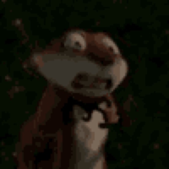 jnkurows